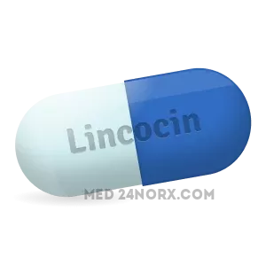 lincocin